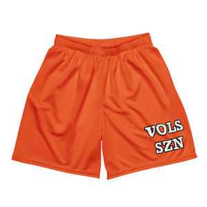 
                
                    Load image into Gallery viewer, Gameday Baller Mesh Shorts
                
            